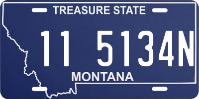 MT license plate 115134N