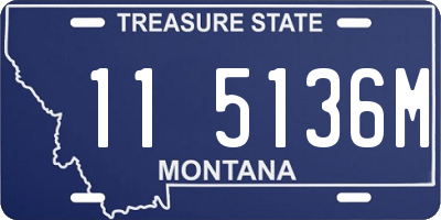 MT license plate 115136M