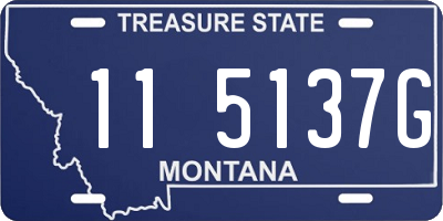 MT license plate 115137G