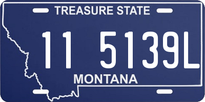 MT license plate 115139L