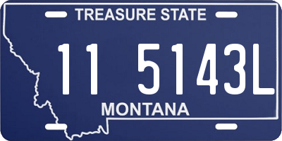 MT license plate 115143L