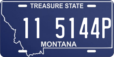 MT license plate 115144P