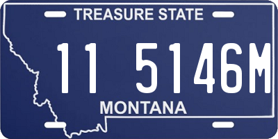 MT license plate 115146M
