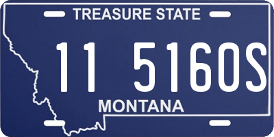 MT license plate 115160S
