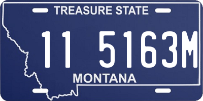 MT license plate 115163M