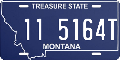MT license plate 115164T