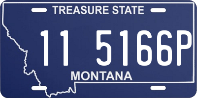 MT license plate 115166P