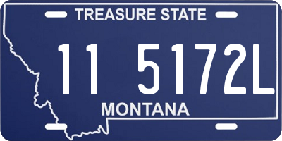 MT license plate 115172L