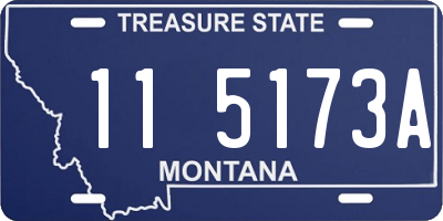 MT license plate 115173A