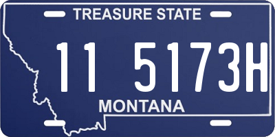 MT license plate 115173H
