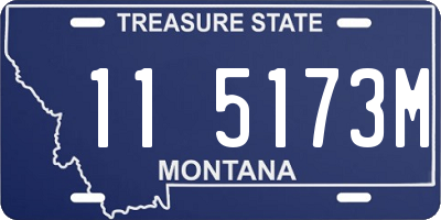 MT license plate 115173M