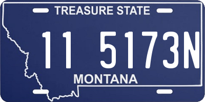 MT license plate 115173N