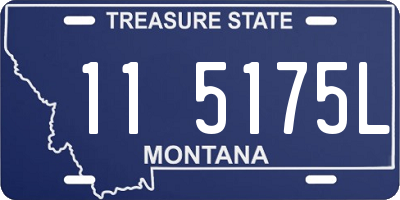 MT license plate 115175L