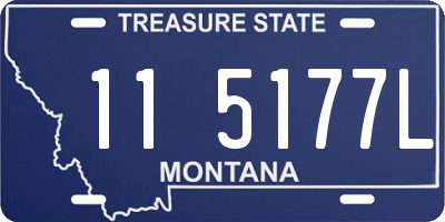 MT license plate 115177L