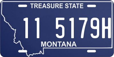 MT license plate 115179H