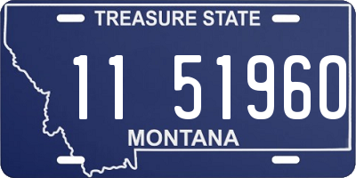 MT license plate 115196O