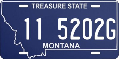 MT license plate 115202G