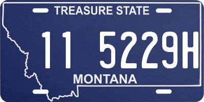 MT license plate 115229H
