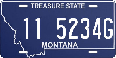 MT license plate 115234G
