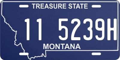 MT license plate 115239H