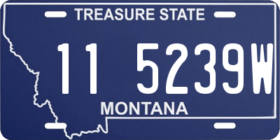 MT license plate 115239W
