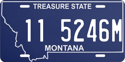 MT license plate 115246M
