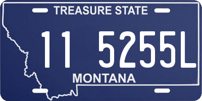 MT license plate 115255L