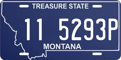MT license plate 115293P