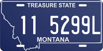 MT license plate 115299L