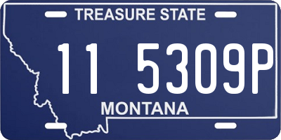 MT license plate 115309P