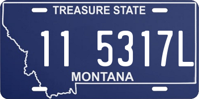 MT license plate 115317L