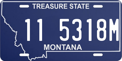 MT license plate 115318M