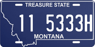 MT license plate 115333H