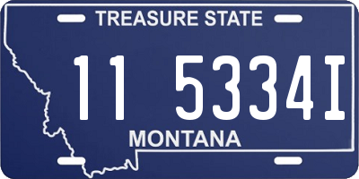 MT license plate 115334I