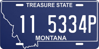 MT license plate 115334P