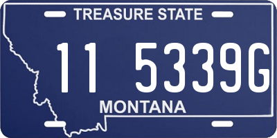 MT license plate 115339G