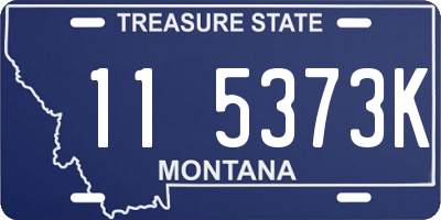 MT license plate 115373K