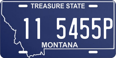 MT license plate 115455P