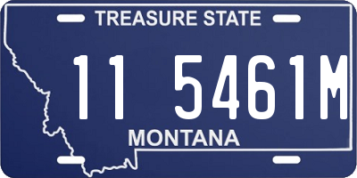 MT license plate 115461M