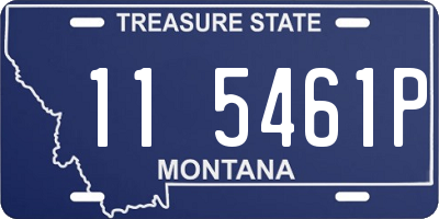 MT license plate 115461P