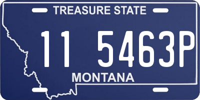 MT license plate 115463P