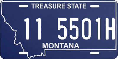 MT license plate 115501H