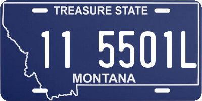 MT license plate 115501L