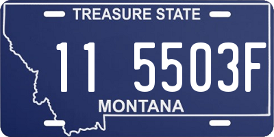 MT license plate 115503F