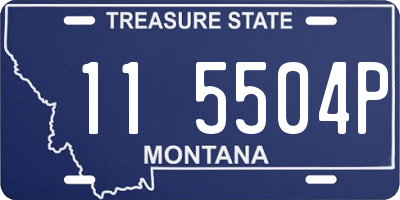 MT license plate 115504P