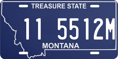 MT license plate 115512M