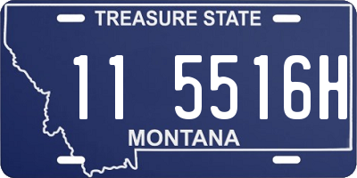 MT license plate 115516H