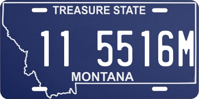 MT license plate 115516M