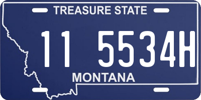 MT license plate 115534H