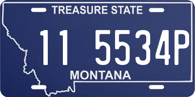 MT license plate 115534P
